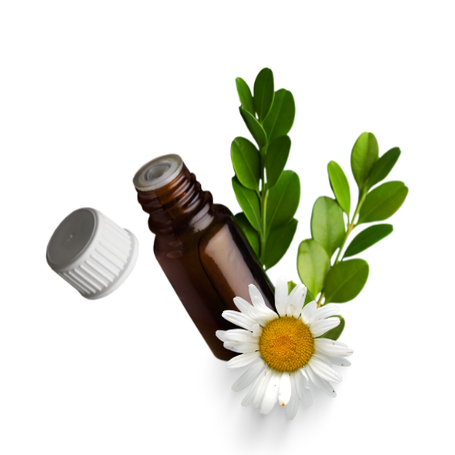 Diseno-sin-titulo-21