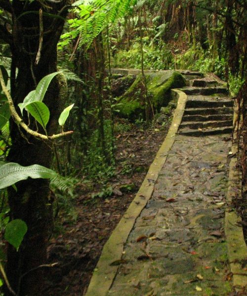 sendero-penas-del-aserradero